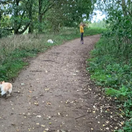 Breaks At Tattershall Lakes