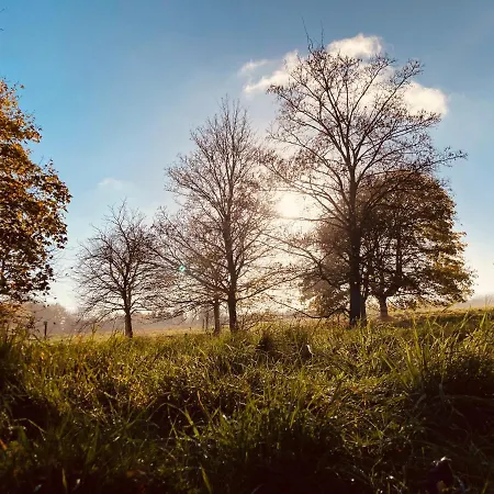 Cosy Four Miles From Centre *
