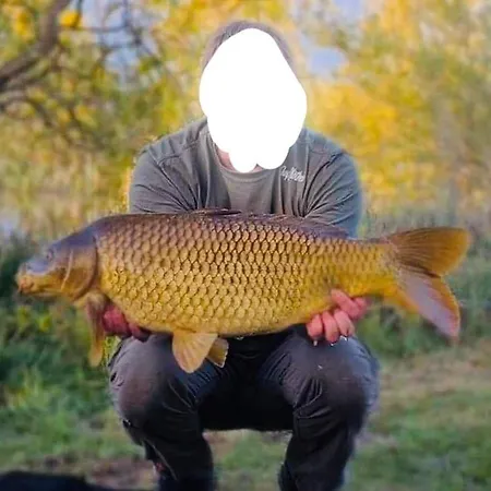 Fishing Family Caravan Campsite Lincoln