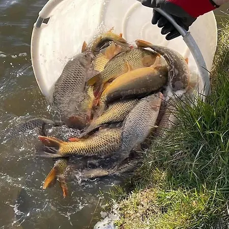 Fishing Family Caravan Lincoln