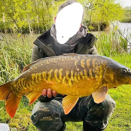 Fishing Family Caravan Campsite *
