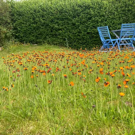 Cosy Four Miles From Centre Holiday home Lincoln
