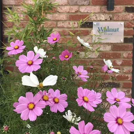 Walnut House, Ashlin Farm Barns Holiday home *