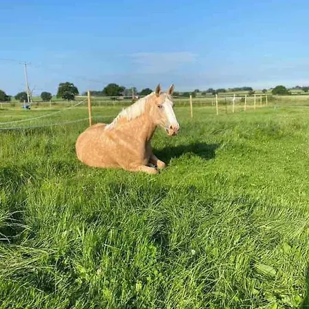 Wellbet Farm