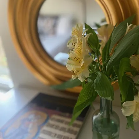 Guest house The Poplars Boutique Bb