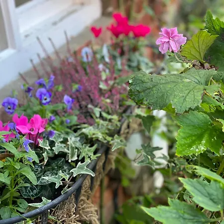 Lut's Place Bed & Breakfast