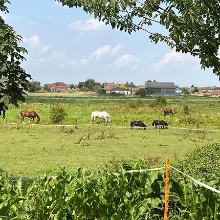 Witham View Holiday home *