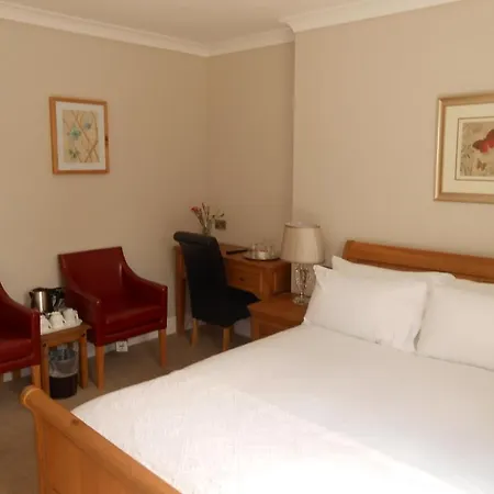 Guest house South Park 4*