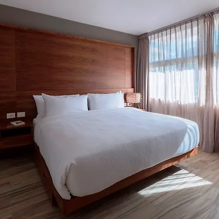 Newport Guest house 5*
