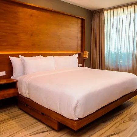 Newport Guest house