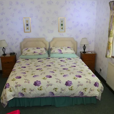Guest house Eagles 4*