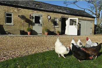 Hotel Bridleway 4*