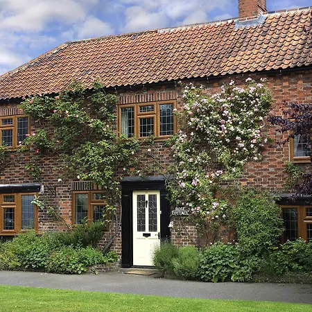 Bed & Breakfast Rose