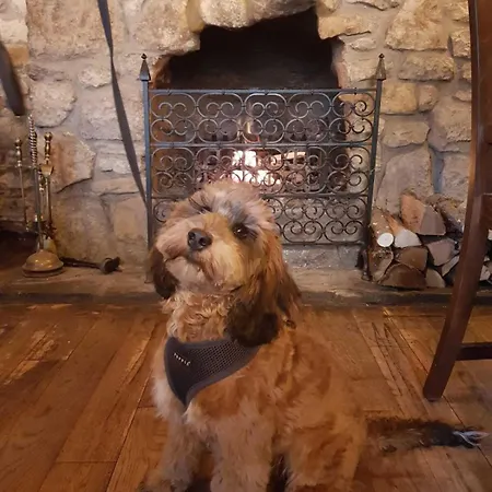 Duke William 4* Lincoln