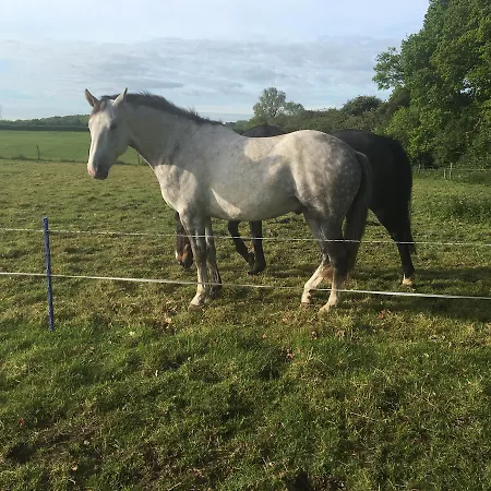 Bridleway Bed & Breakfast 4*
